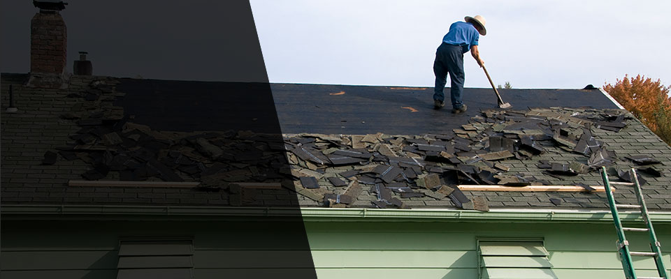 Webster Roofing Contractors